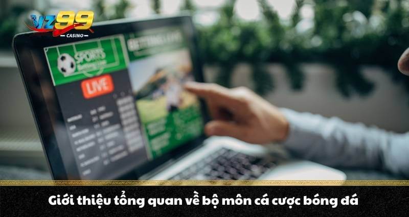 Cá cược bóng đá là gì? Top kèo cược ưu chuộng nhất năm 2026 - BETNOVA96.BEST