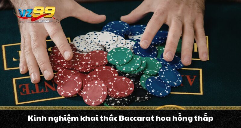 Baccarat hoa hồng thấp - Tối ưu chi phí, nâng cao lợi nhuận - BETNOVA96.BEST