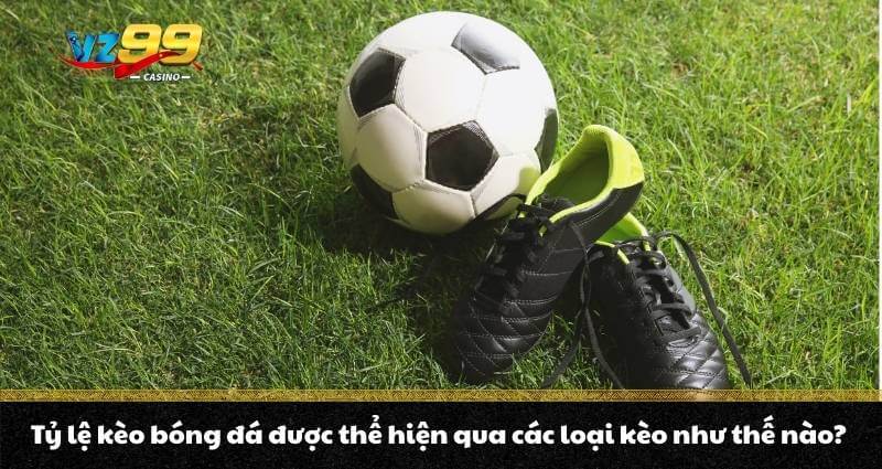 Tỷ lệ kèo bóng đá - Cách đọc kèo dễ hiểu cho người mới chơi - BETNOVA96.BEST